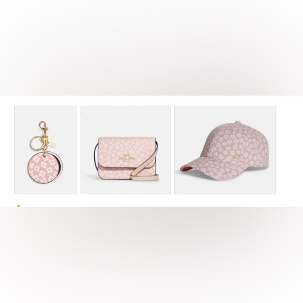 NWT COACH SET DITSY FLORAL-MINI BRYNN, KEYRING & HAT